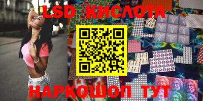 крисы Камышлов