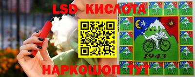 крисы Камышлов