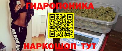 spice Кандалакша