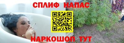 spice Кандалакша