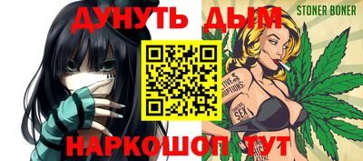 крисы Камышлов