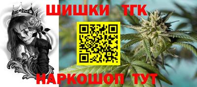 крисы Камышлов