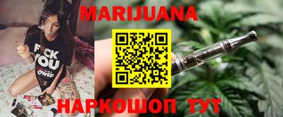 крисы Камышлов