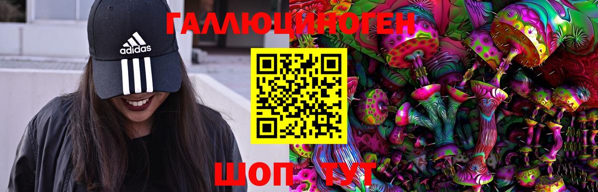 Псилоцибиновые грибы мицелий Лабинск
